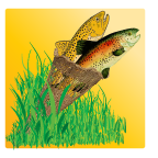 An icon used for a plugin that allows for the addition of new fish to the fish model, or the creation of a whole new fish model.